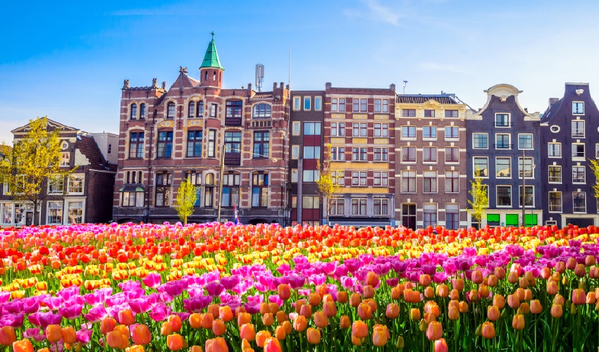  circulo-imperial-amsterdam-viena 